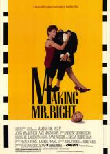 Miniature d'affiche américaine de 'Et la femme créa l'homme parfait'