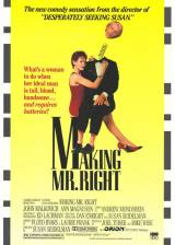 Miniature d'affiche américaine de 'Et la femme créa l'homme parfait'