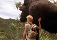 ©1998 Walt Disney - Mon ami Joe (Mighty Joe Young)