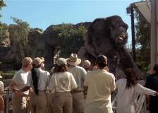 ©1998 Walt Disney - Mon ami Joe (Mighty Joe Young)