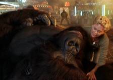 ©1998 Walt Disney - Mon ami Joe (Mighty Joe Young)