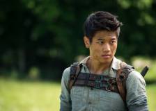 ©2013 20th Century Fox - Le labyrinthe (The Maze Runner)