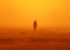 ©2017 Sony Pictures - Blade Runner 2049 (Blade Runner 2049)