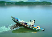 © 2012 IPA Asia Pacific - Million Dollar Crocodile (Bai wan ju e)