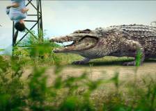 © 2012 IPA Asia Pacific - Million Dollar Crocodile (Bai wan ju e)