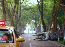 © 2012 IPA Asia Pacific - Million Dollar Crocodile (Bai wan ju e)