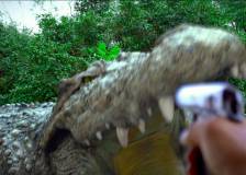 © 2012 IPA Asia Pacific - Million Dollar Crocodile (Bai wan ju e)