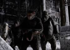 ©2017 20th Century Fox - La Planète des Singes - Suprématie (War of the Planet of the Apes)