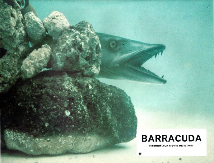 Still #2 from 'Barracuda' - 1978 (0) - SciFi-Movies