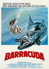 Miniature d'affiche américaine de 'Barracuda'