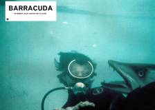 ©1978 American General Pictures - Barracuda (Barracuda)