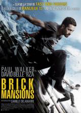 French poster thumbnail from 'Brick Mansions'
