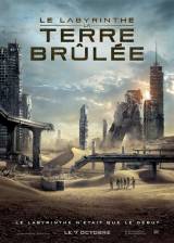 Miniature d'affiche française de 'Le labyrinthe : la terre brûlée'