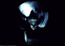 ©2014 Backyard Films - Crawl or Die (Crawl or Die)