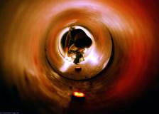 ©2014 Backyard Films - Crawl or Die (Crawl or Die)