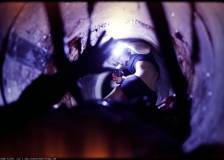 ©2014 Backyard Films - Crawl or Die (Crawl or Die)