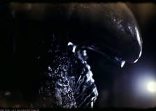 ©2014 Backyard Films - Crawl or Die (Crawl or Die)
