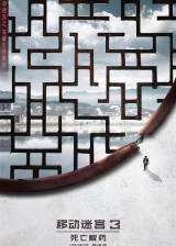 Miniature d'affiche inconnue de 'Le Labyrinthe : le remède mortel'