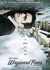 Miniature d'affiche américaine de 'Wayward Pines'