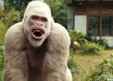 ©2018 Warner Bros. - Rampage - Hors de contrôle (Rampage)