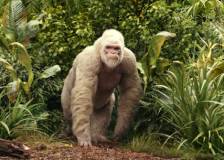©2018 Warner Bros. - Rampage - Hors de contrôle (Rampage)