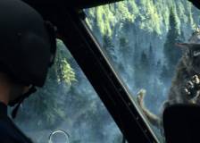 ©2018 Warner Bros. - Rampage - Hors de contrôle (Rampage)