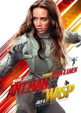 Miniature d'affiche américaine de 'Ant-Man et la Guêpe'
