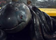 ©2017 Paramount Pictures - Monster Cars (Monster Trucks)