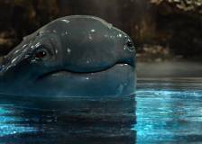 ©2017 Paramount Pictures - Monster Cars (Monster Trucks)