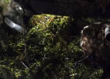 ©2018 Platinum Dunes - Sans un bruit (A Quiet Place)