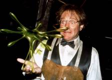 ©1997 Walt Disney Pictures - Flubber (Flubber)