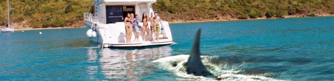 5 Headed Shark Attack