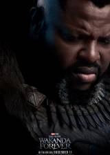 Us poster thumbnail from 'Black Panther: Wakanda Forever'