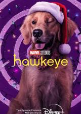 Miniature d'affiche américaine de 'Hawkeye'