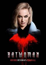 Us poster thumbnail from 'Batwoman'