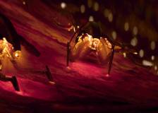 ©2020 Sony Pictures Entertainment - Bloodshot (Bloodshot)